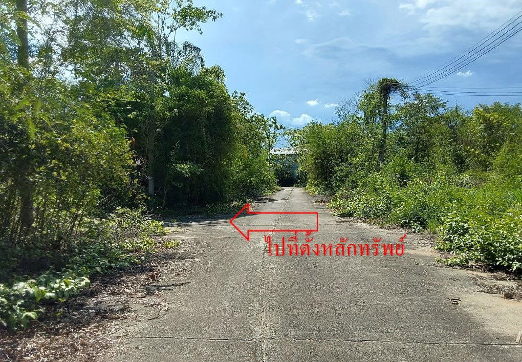 รูป ที่ดินเปล่า เนื้อที่ทั้งหมด 1117.6 ตารางเมตร ตำบลมะเขือแจ้ อำเภอเมืองลำพูน ลำพูน ราคา 350,000 บาท - รูปที่ 6/8
