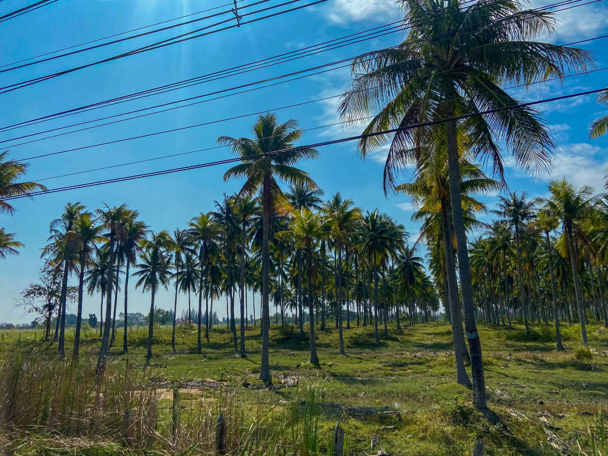 picture Land for sale near petkasame road, makro, Ao Manao Beach, Prachuap Khiri Khan - 2/6