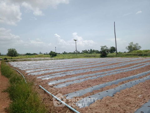 ที่ดินสำหรับปล่อยขาย 3,200 ตารางเมตร แถว ใน หินเหล็กไฟ (ID 2209292)