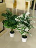 listing thumbnail image 33