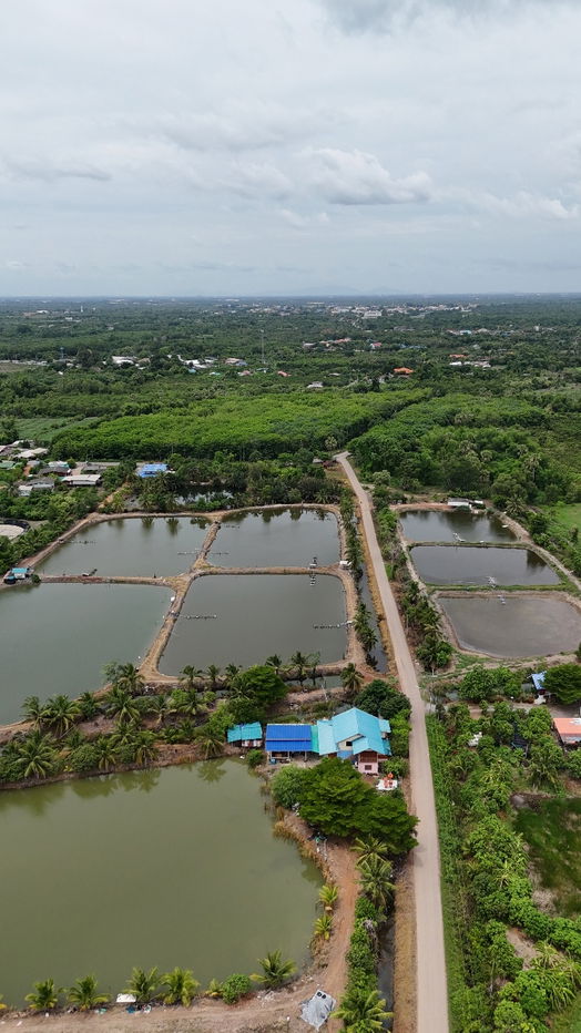 รูป ที่ดินปากน้ำ บางคล้า พื้นที่EEC - รูปที่ 7/10