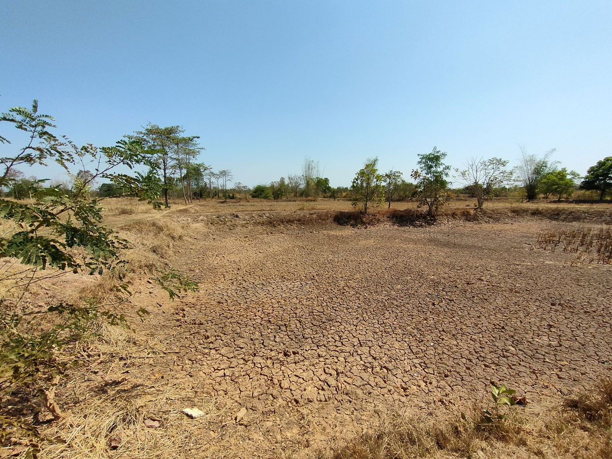 picture ที่ดินเปล่า 8212 square meter Sakon Nakhon Sawang Daen Din Sawang Daen Din for 848000 THB - 6/9
