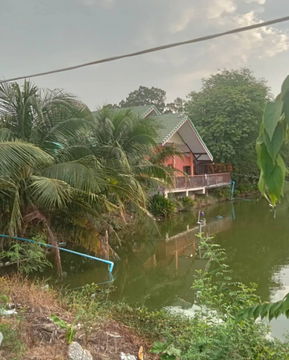 FOR RENT  HOUSE PROPERTY  10000 BAHT per MONTH