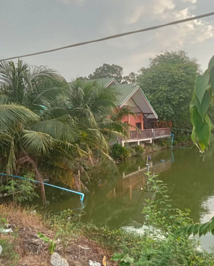 รูป ให้เช่าบ้านชั้นเดียว เล่นระดับ 50ตรว. วิวบ่อปลา อยู่อ.บางเลน นครปฐม ใกล้วัดเกาะแรต รายละเอียด - รูปที่ 1/9