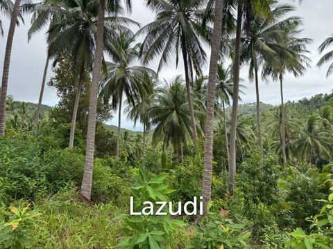 Land for Sale 11 Rai
