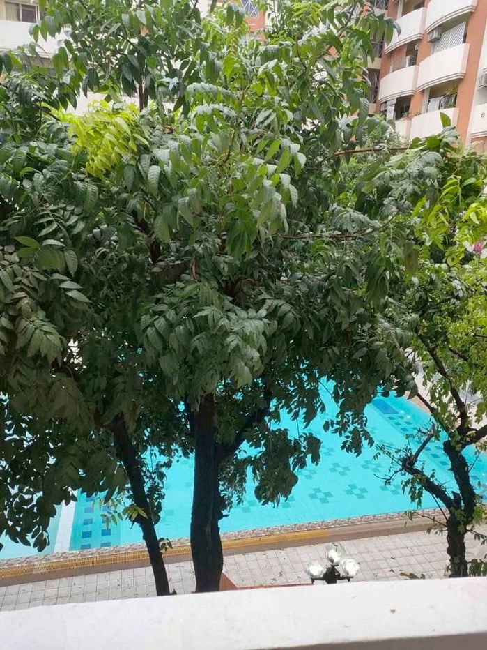 picture 🟪🟦🟩🟨🟧 For rent Family Park 📍Lad Phrao 48 🛎️🛎️ | 𝗟𝗶𝗻𝗲@: @𝗮𝘀𝘀𝗲𝘁𝘀𝗽𝗿𝗼 - 8/8