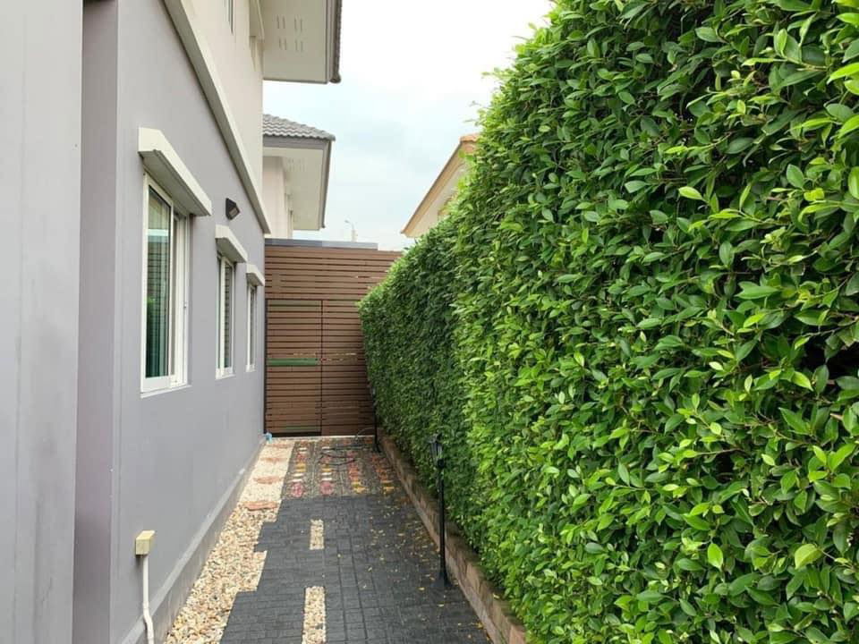 picture For rent, cheapest price, The Plant Pinklao-Kanchanaphisek, near Kanchanaphisek Road, fully extended throughout the house, ready to move in - 8/17