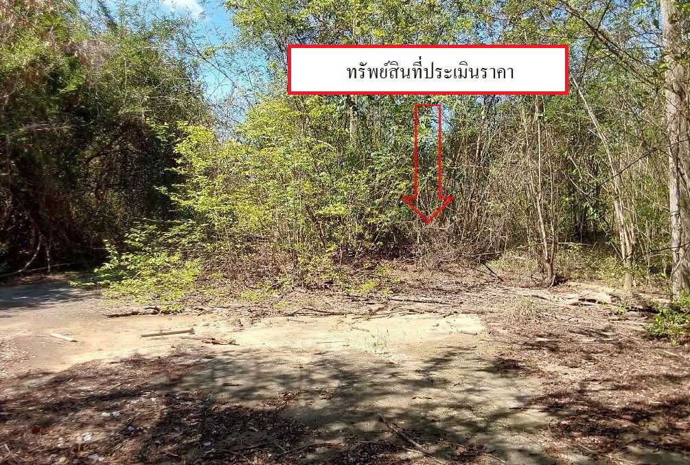 รูป ที่ดินเปล่า เนื้อที่ทั้งหมด 1117.6 ตารางเมตร ตำบลมะเขือแจ้ อำเภอเมืองลำพูน ลำพูน ราคา 350,000 บาท - รูปที่ 3/8