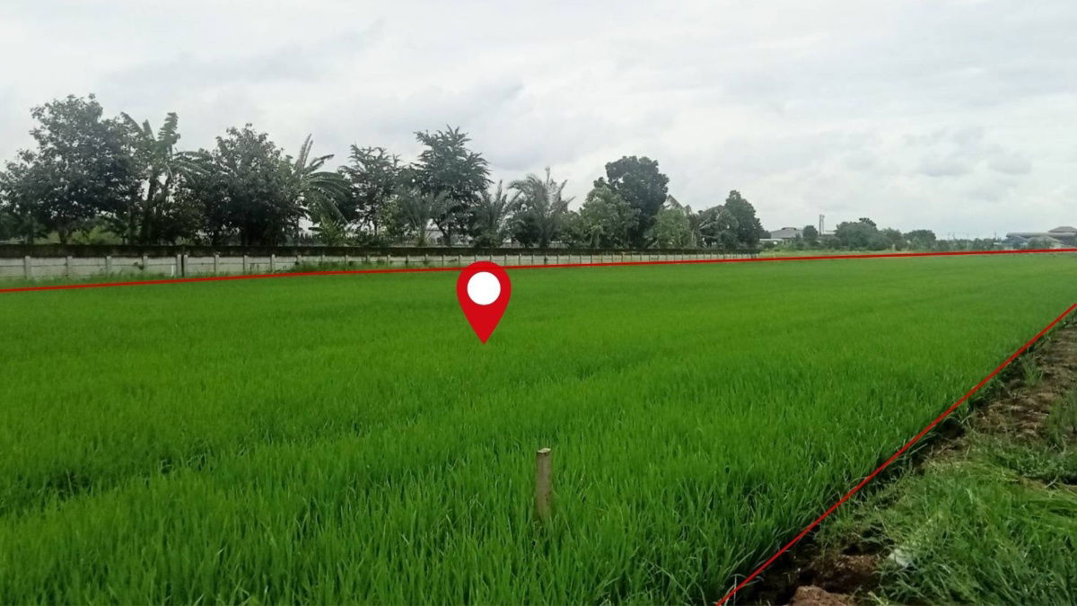 รูป ที่ดินแปลงใหญ่ 3-3-39.4 ไร่ ลำลูกกา คลอง6 หน้ากว้างพิเศษ ใกล้ถนน4เลน ราคาน่าลงทุน - รูปที่ 6/9