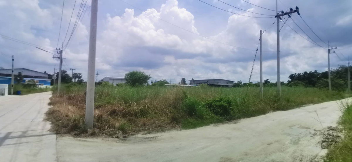 รูป ขาย! ที่ดินพร้อมโรงงาน 6-3-0 ไร่ บ้านบึง จ.ชลบุรี ติดถนน ใกล้นิคมอมตะนคร ทำเลดี พร้อมใช้งาน - รูปที่ 6/16