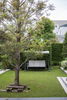 listing thumbnail image 12
