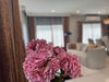 listing thumbnail image 30