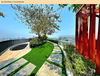 listing thumbnail image 12