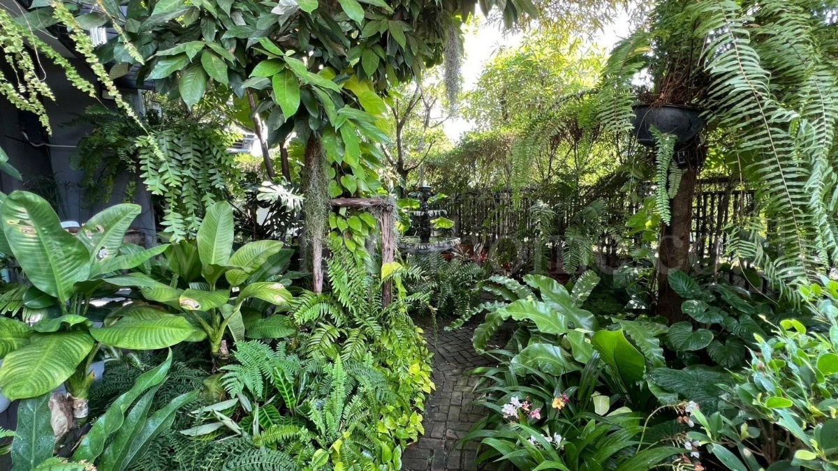 รูป บ้านเดี่ยว เดอะ ซิตี้ รามอินทรา บ้านสวย พร้อมอยู่ - รูปที่ 8/12