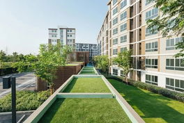 รูป D condo campus rangsit 2 - รูปที่ 4/7