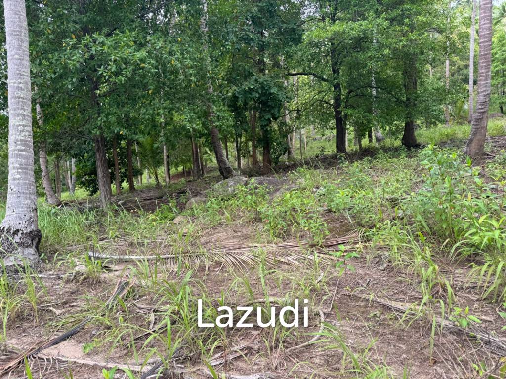 picture Land for Sale 11 Rai - 8/8
