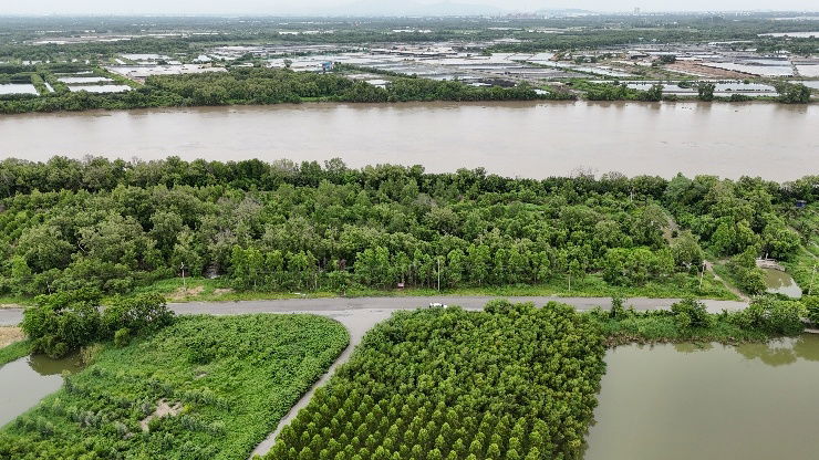 รูป ขายที่ดินติดริมแม่น้ำบางปะกง พื้นที่ EEC - รูปที่ 4/6