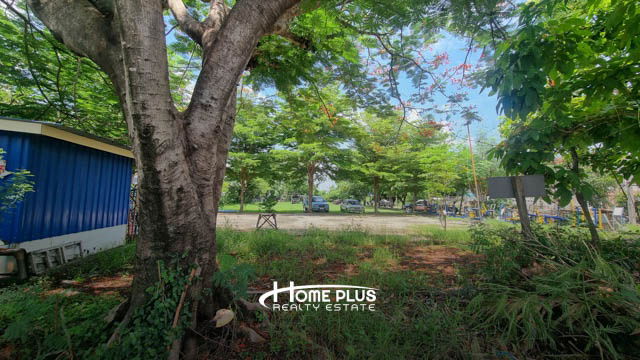 รูป ที่ดินในการเคหะแห่งชาติคลอง8 ตำบลบึงบอน อำเภอหนองเสือ ปทุมธานี เนื้อที่ 19.5 ตารางวา - รูปที่ 6/10