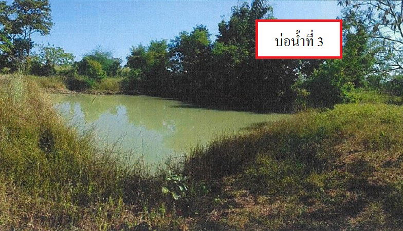 picture ที่ดินเปล่า 8212 square meter Sakon Nakhon Sawang Daen Din Sawang Daen Din for 848000 THB - 2/9