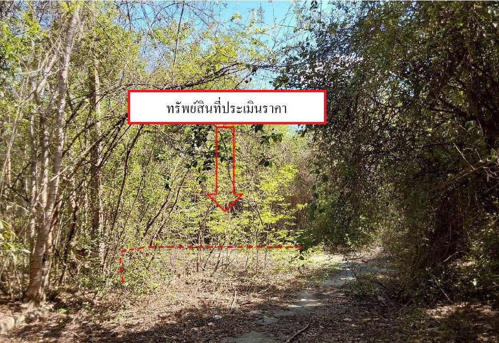 รูป ที่ดินเปล่า เนื้อที่ทั้งหมด 1117.6 ตารางเมตร ตำบลมะเขือแจ้ อำเภอเมืองลำพูน ลำพูน ราคา 350,000 บาท - รูปที่ 2/8