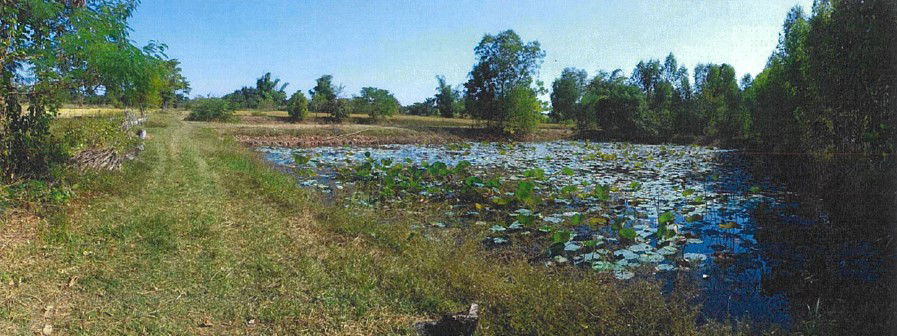 picture ที่ดินเปล่า 8212 square meter Sakon Nakhon Sawang Daen Din Sawang Daen Din for 848000 THB - 4/9