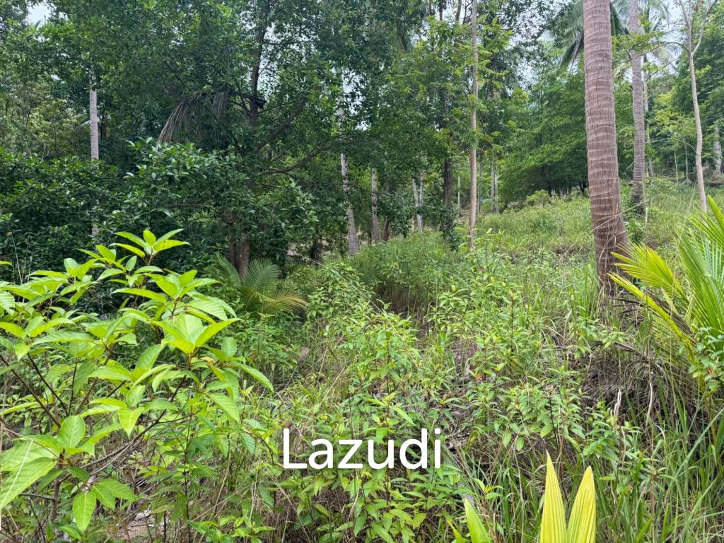picture Land for Sale 11 Rai - 5/8