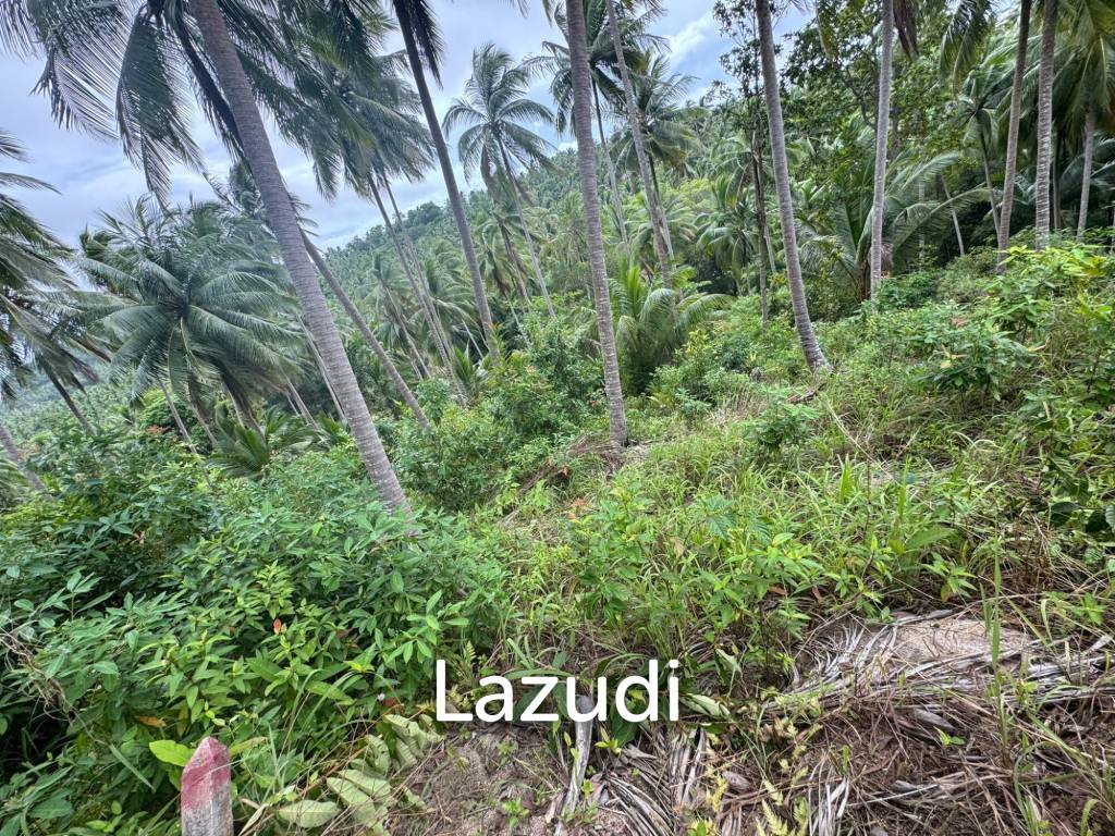 picture Land for Sale 11 Rai - 7/8