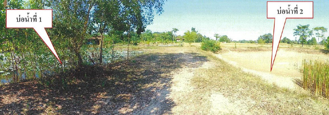 picture ที่ดินเปล่า 8212 square meter Sakon Nakhon Sawang Daen Din Sawang Daen Din for 848000 THB - 1/9