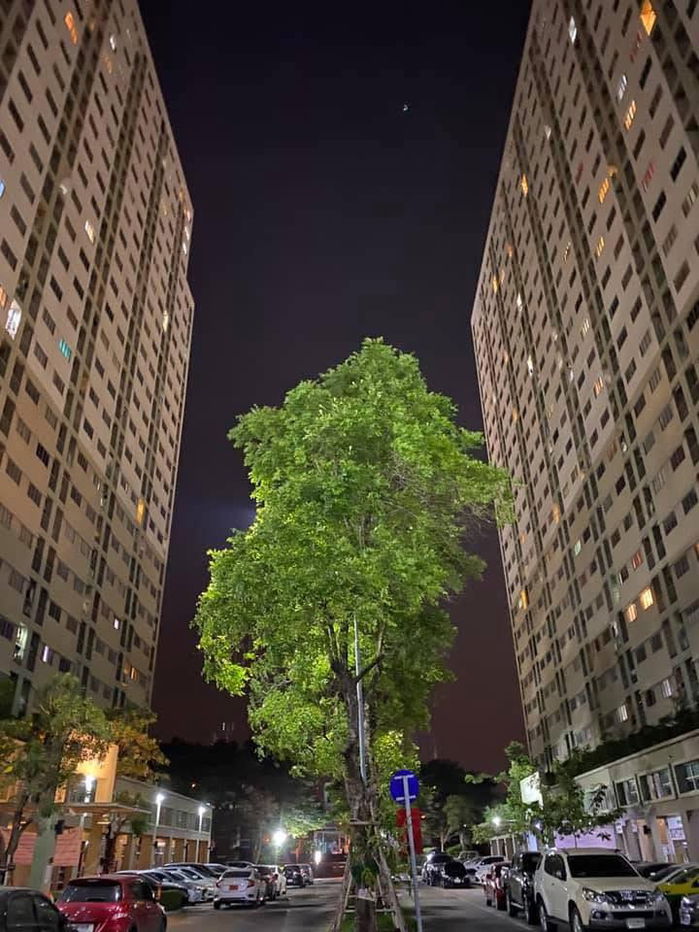 รูป 🌿 S284 [ขาย] คอนโดลุมพินีทาวน์ นวมินทร์-รามอินทรา 💰 ราคาเพียง 1.19 ล้านบาทเท่านั้น!! - รูปที่ 16/16