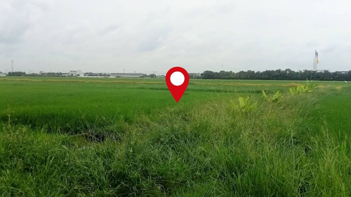 รูป ที่ดินแปลงใหญ่ 3-3-39.4 ไร่ ลำลูกกา คลอง6 หน้ากว้างพิเศษ ใกล้ถนน4เลน ราคาน่าลงทุน - รูปที่ 2/9