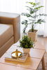 listing thumbnail image 7