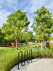 listing thumbnail image 66