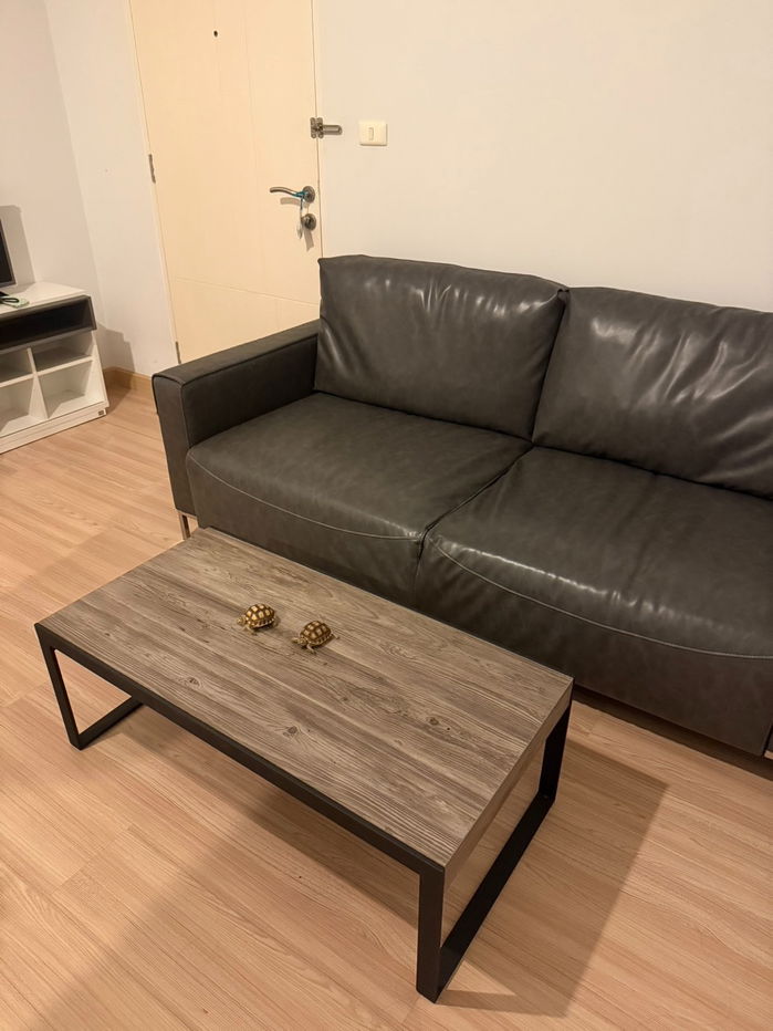 picture 🟢For Sell🟢The Niche Mono Ratchavipha (The Niche Mono Ratchavipha) Beautiful room, fully furnished, 📱ADD LINE @nathong97 (reply ⚡ 24 Hr) P471 - 3/7