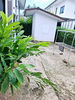 listing thumbnail image 10