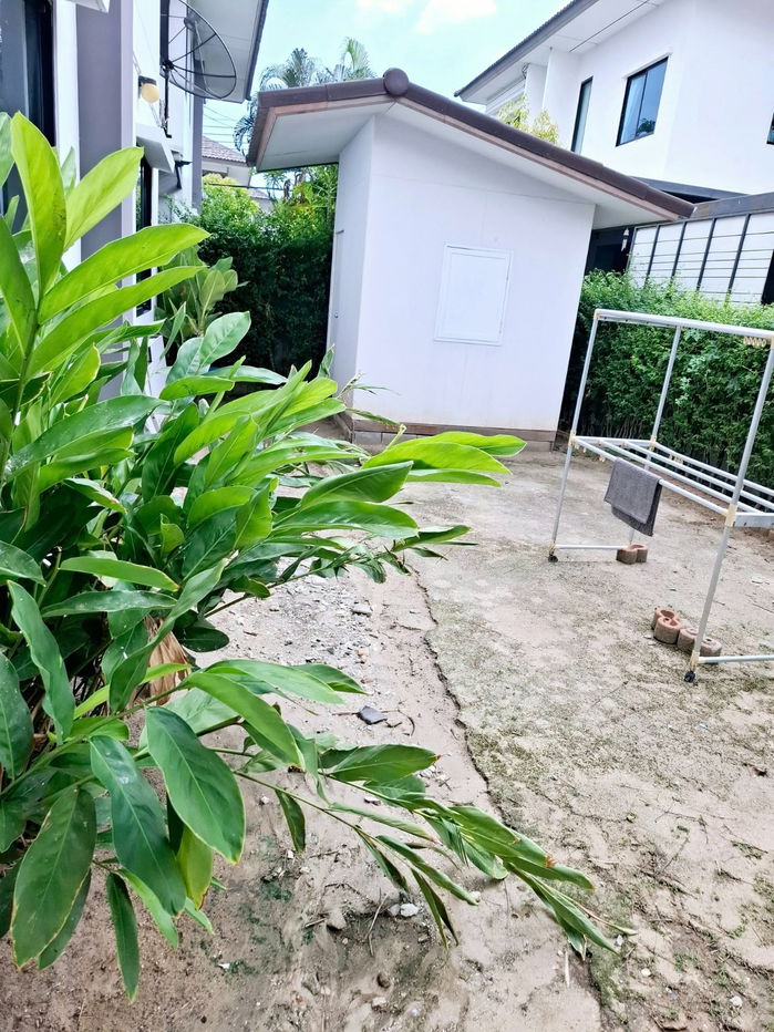picture 🟢For Sell🟢Single house project Atoll Java Bay, beautiful room, fully furnished, 📱ADD LINE @nathong97 (reply ⚡ 24 Hr) P505 - 11/16