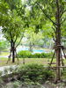 listing thumbnail image 25