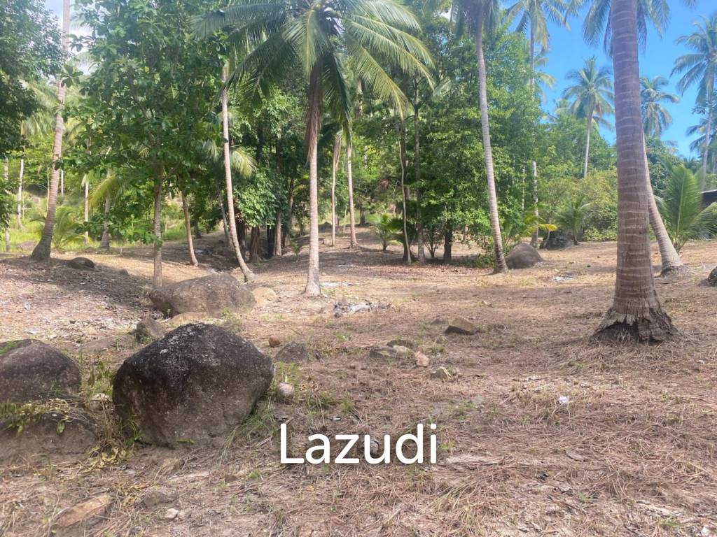 picture Land for Sale 11 Rai - 2/8
