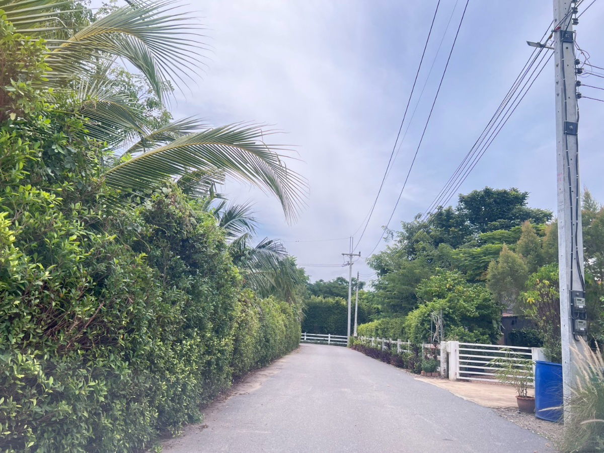 รูป ขายบ้านเดี่ยว โครงการดุสิตาเลควิว บ้านยาง นครปฐม  เนื้อที่  260 ตรว. - รูปที่ 8/16