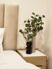 listing thumbnail image 30