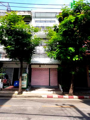 Shophouses for rent Central Plaza Bang Na : Commercial building for rent near BTS Punnawithi (SPSAD3050)