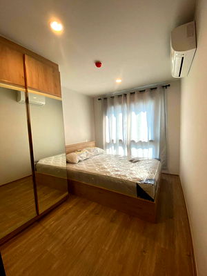 Condos for rent BTS On Nut : Condo for rent, Hi Sukhumvit 93, ready to move in