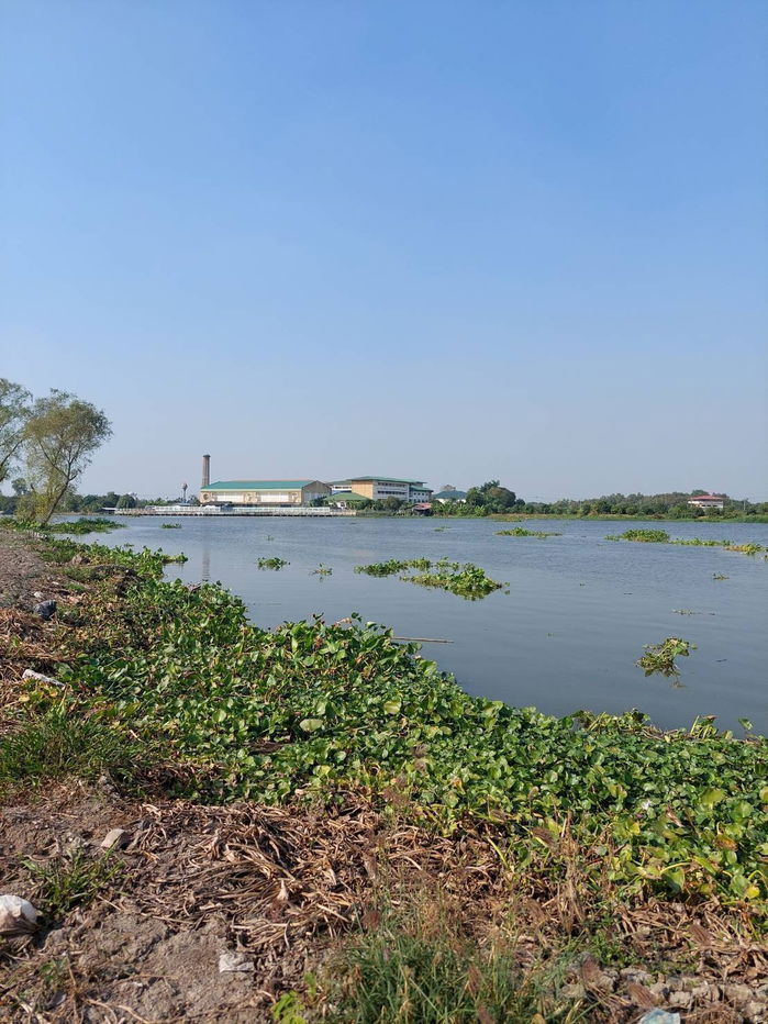 รูป AS018 ขายที่ดินติดแม่น้ำท่าจีน ขนาด 19 - 3 - 10 ไร่  - รูปที่ 3/6