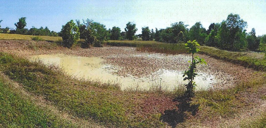 picture ที่ดินเปล่า 8212 square meter Sakon Nakhon Sawang Daen Din Sawang Daen Din for 848000 THB - 3/9