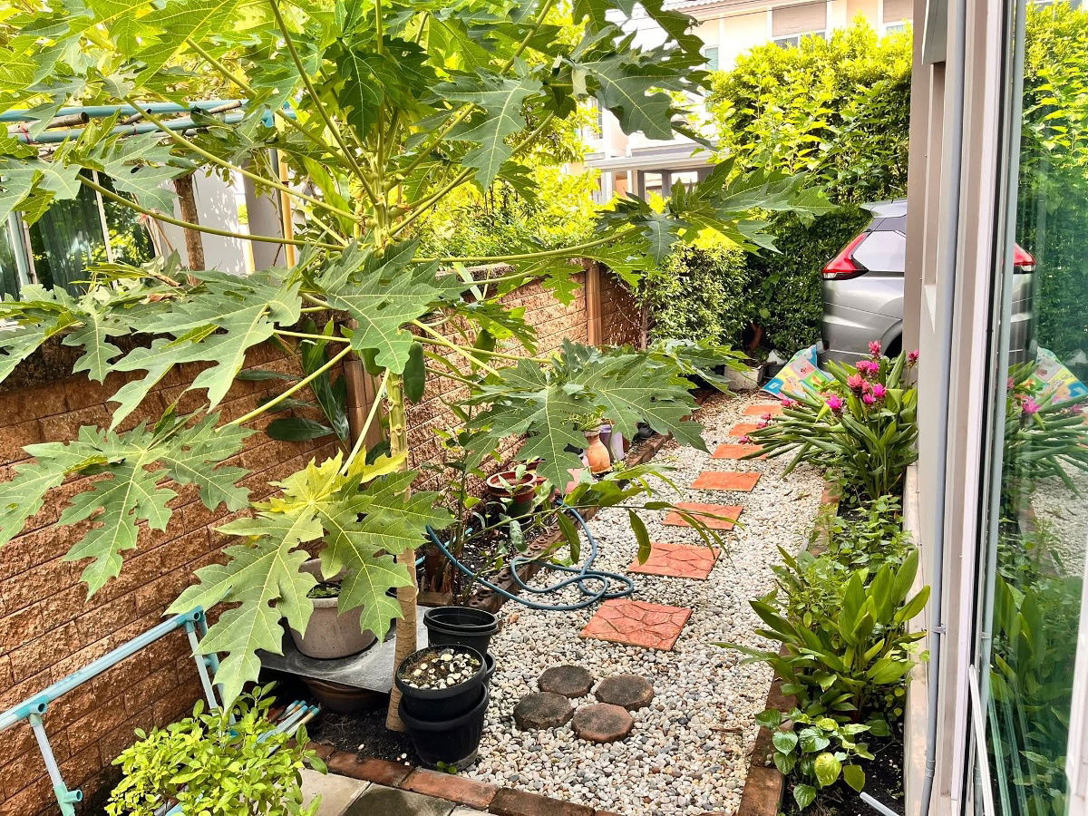 รูป ขายบ้าน The plant Thepharak  บ้านแฝด 2 ชั้น 3ห้องนอน 2ห้องน้ำ จอดรถในบ้าน2คัน หน้าบ้าน 2คัน ต่อเติมหลังคาที่จอดรถ  บ้านสวยใหม่ บรรยากาศดี  - รูปที่ 5/23