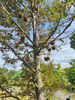 listing thumbnail image 10