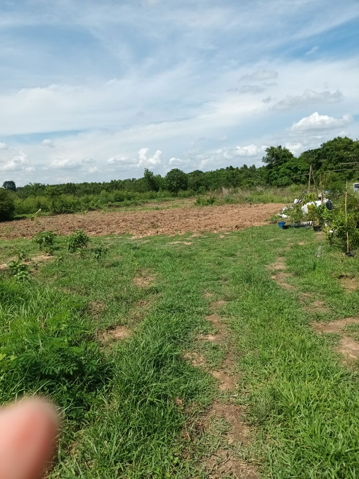 picture LAND FOR SALE CHACHENGSOA PROVINCE - 5/7
