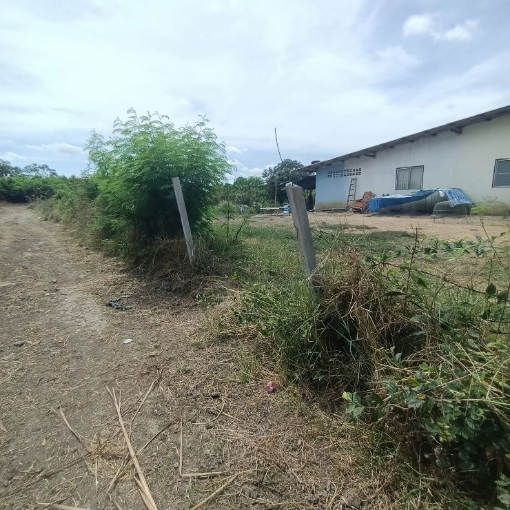 picture Land for sale on Malai Man Road 321, near Lotus Kamphaeng Saen - 10/20