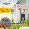 listing thumbnail image 3