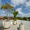 listing thumbnail image 25