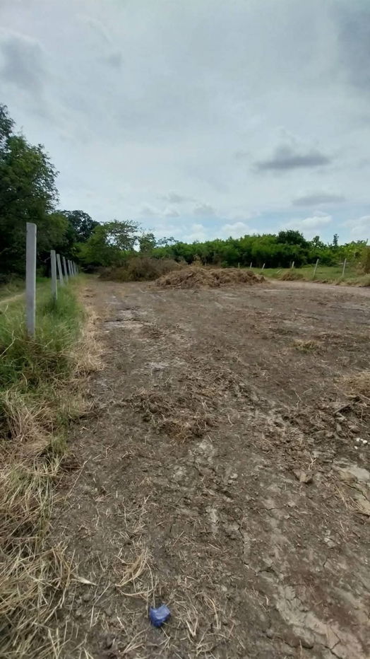 picture Land for sale on Malai Man Road 321, near Lotus Kamphaeng Saen - 4/20